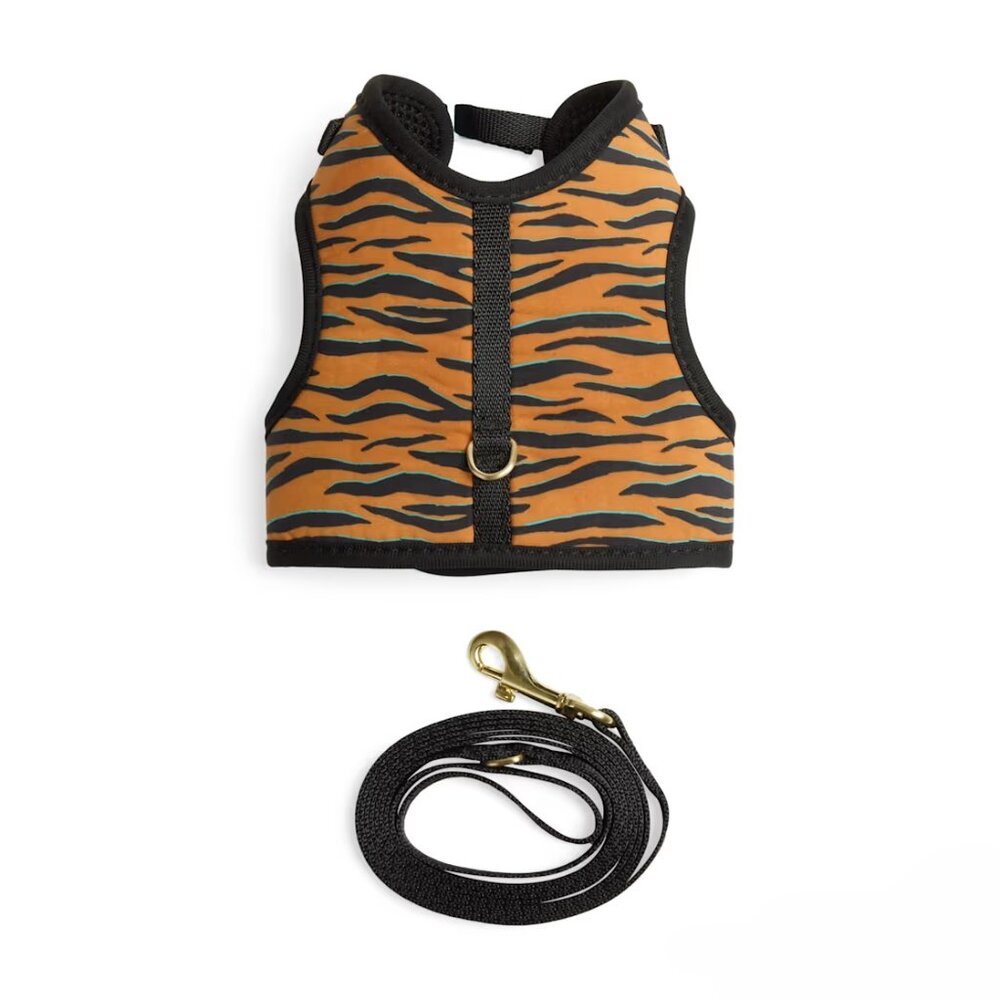 Tiger Kitten Harness and Leash Set - XS